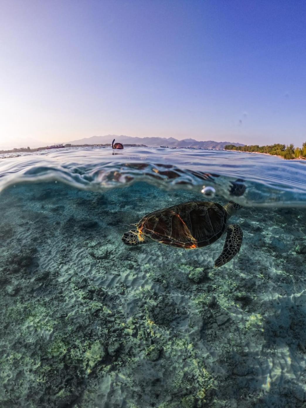 Mandala Beach Healing Rooms Gili Air Esterno foto